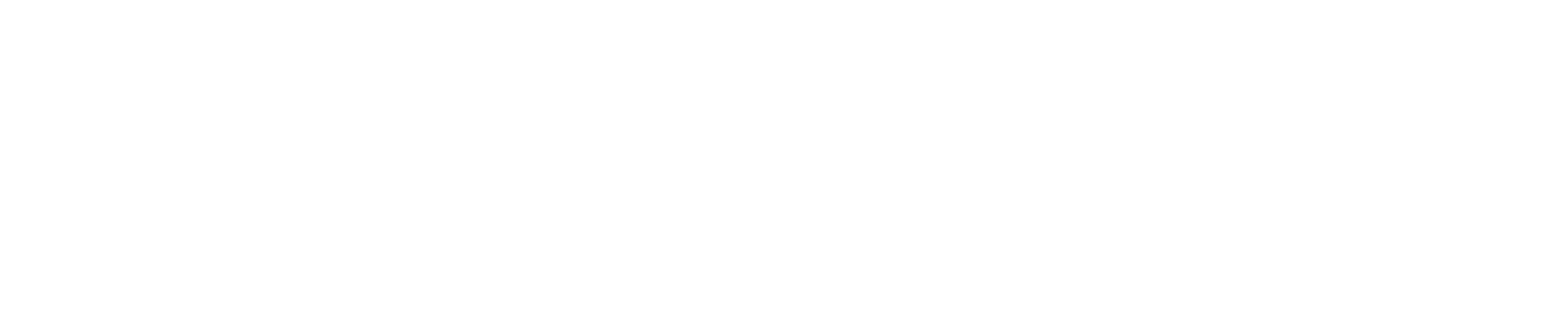 Baase dark logo